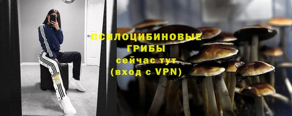 хмурый Медвежьегорск