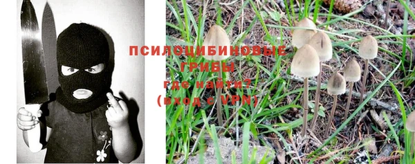 винт Мегион